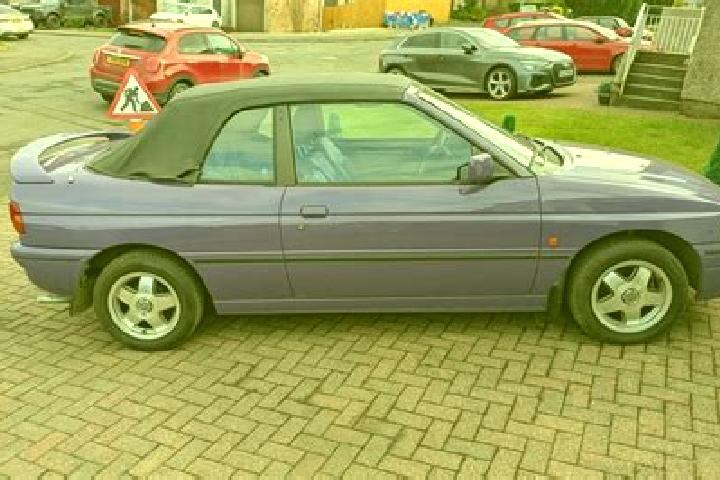 escort Mestecko