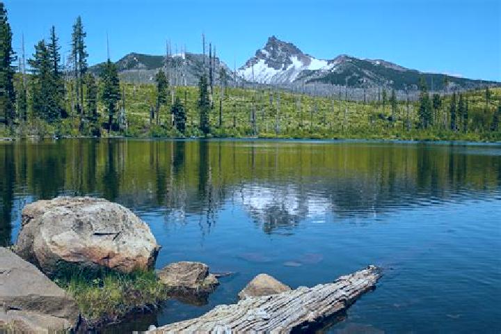 escort Metolius