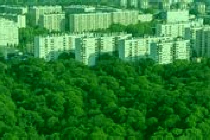 escort Meudon-la-Foret