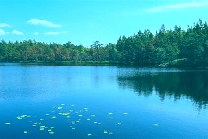 escort Meyers Lake