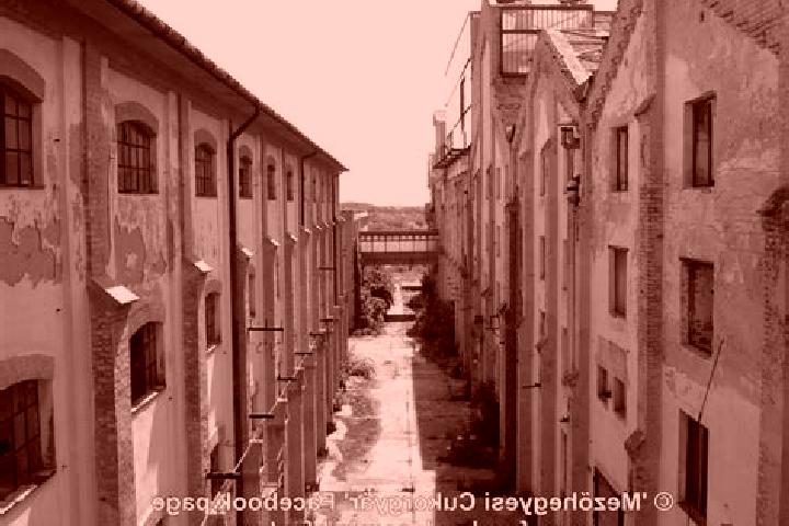 escort Mezohegyes