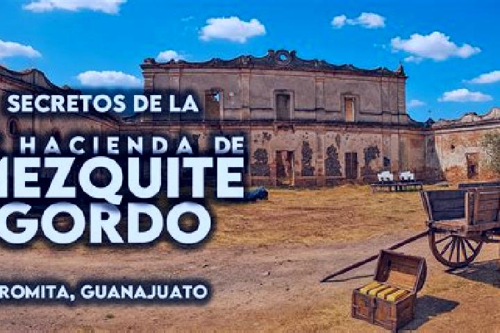 escort Mezquite Gordo