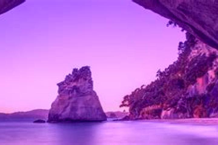 escort Middle Cove