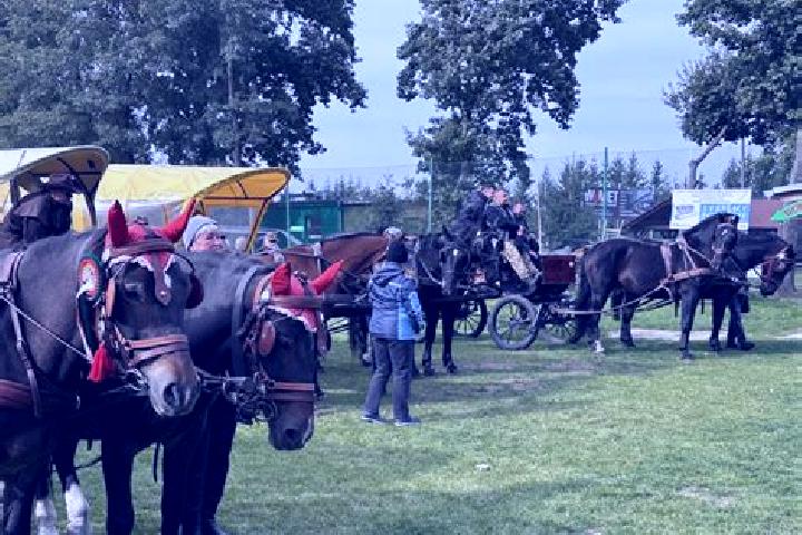 escort Miedzyswiec