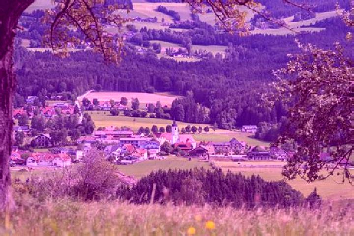 escort Miesenbach bei Birkfeld