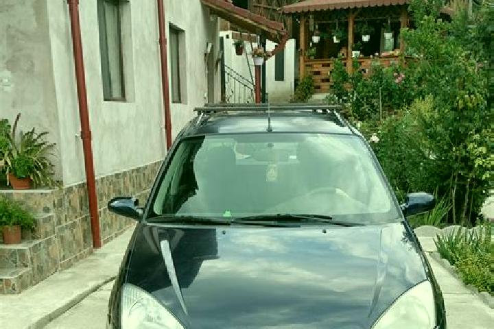 escort Mihaesti