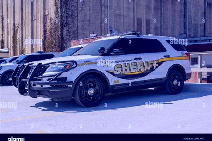 escort Millry