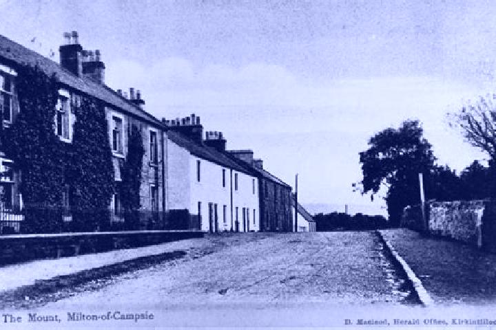 escort Milton of Campsie