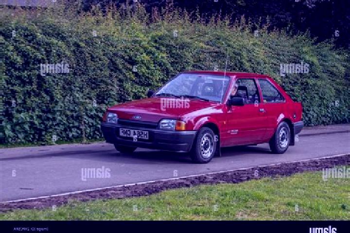 escort Minokamo