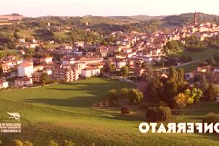 escort Mirabello Monferrato