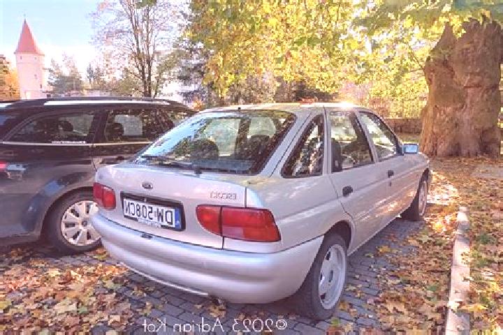 escort Mitunguu