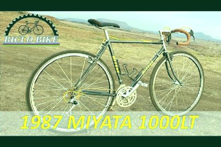escort Miyata
