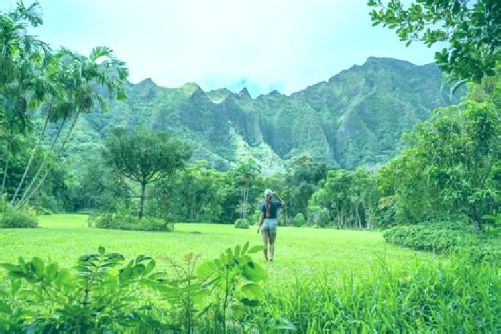 escort Moanalua Valley