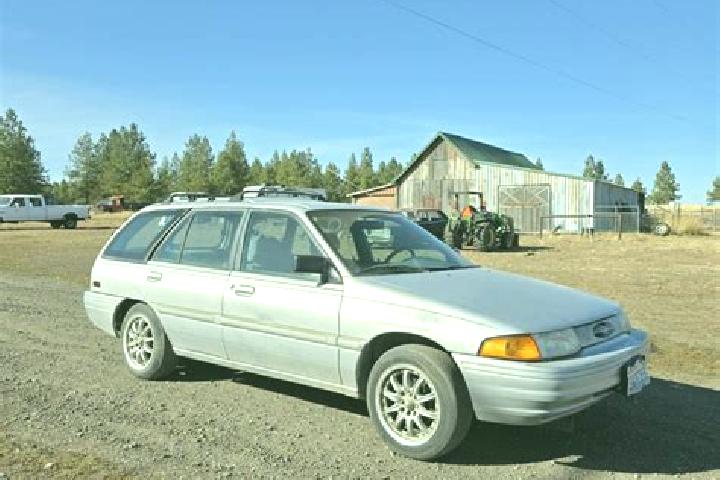 escort Modbury Heights