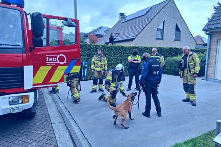 escort Moerbeke