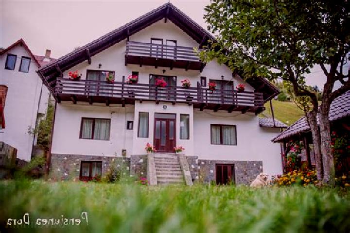 escort Moieciu de Sus