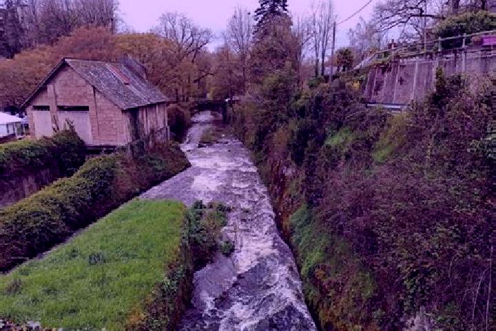 escort Moisdon-la-Riviere