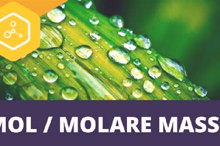 escort Molare