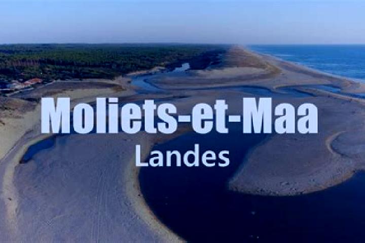 escort Moliets-et-Maa