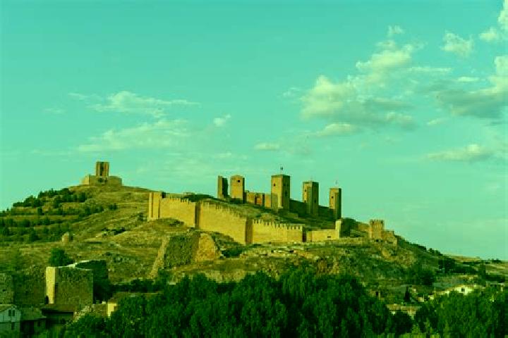 escort Molina de Aragon