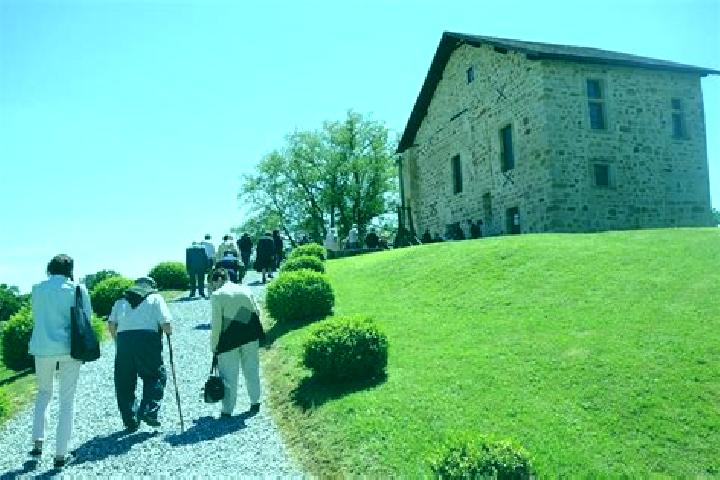 escort Molino de Camou