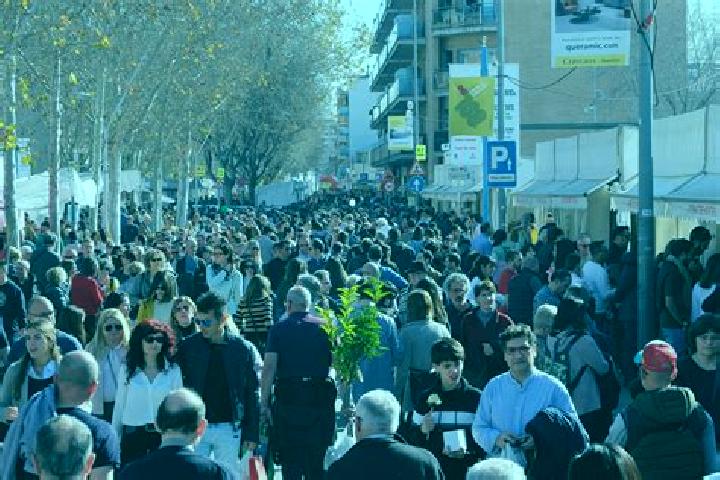 escort Molins de Rei