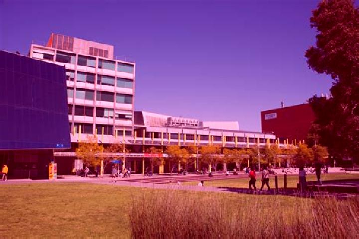 escort Monash