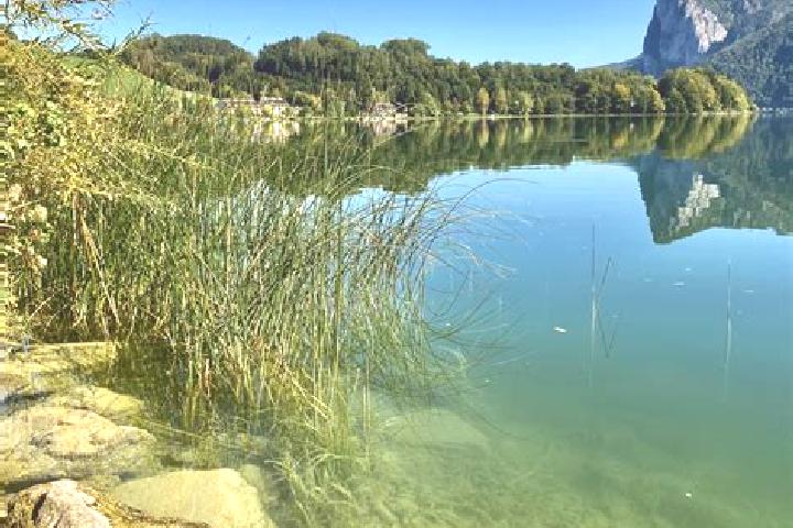escort Mondsee