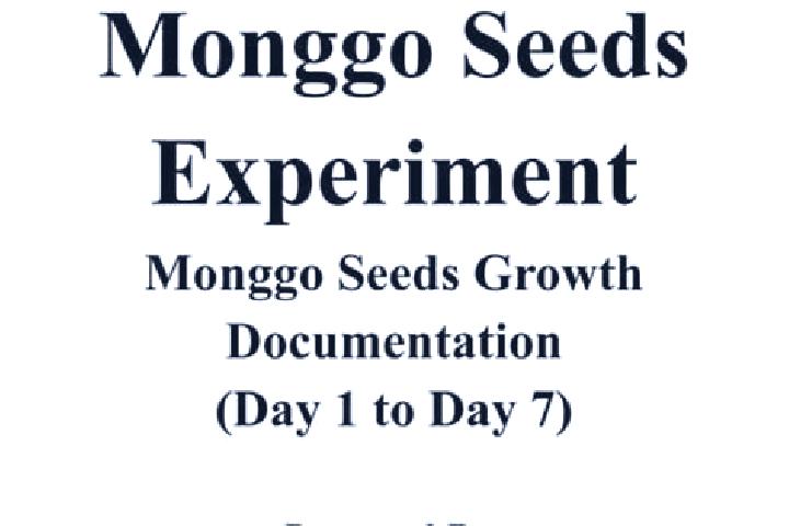 escort Monggo