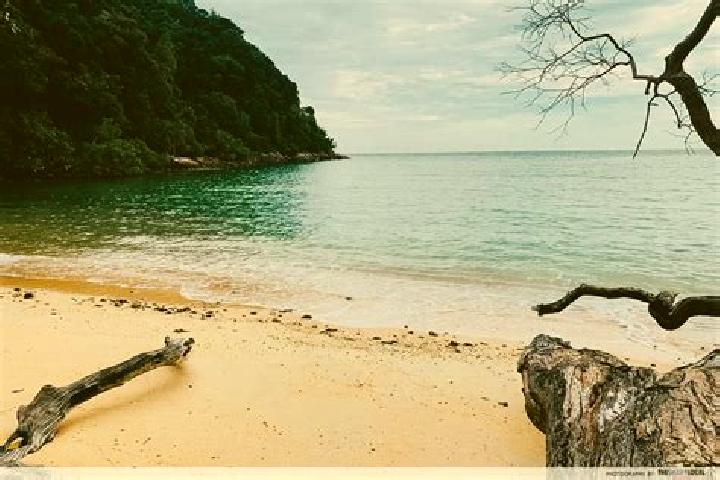 escort Monkey Bay