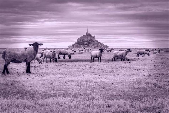 escort Mont-Saint-Pere