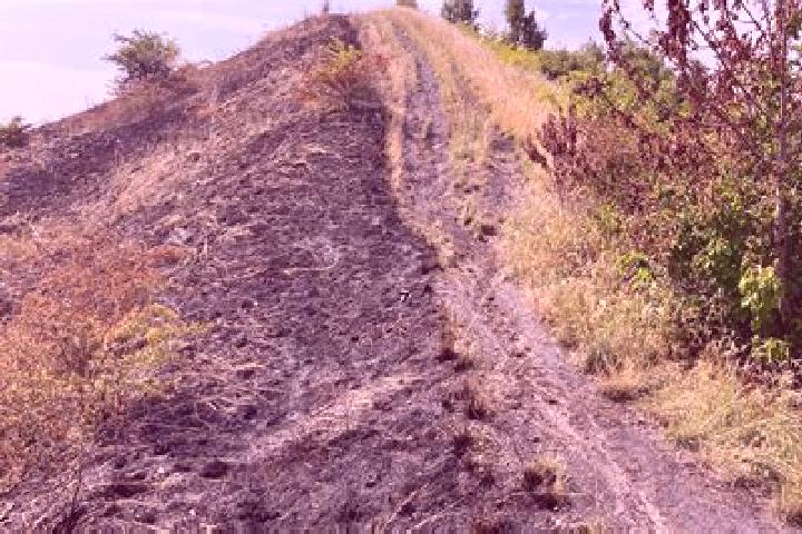escort Mont-sur-Marchienne