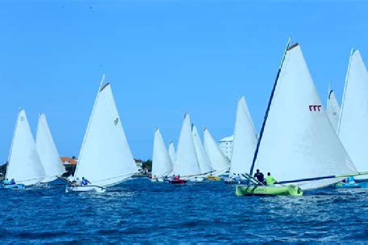 escort Montagu Bay