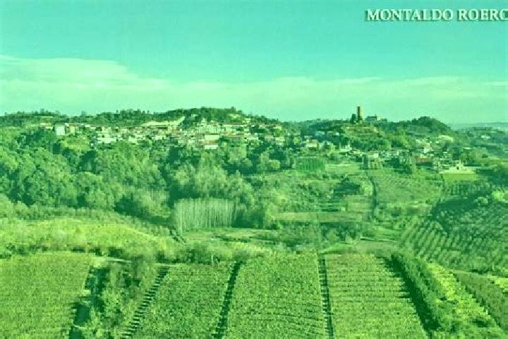 escort Montaldo Roero
