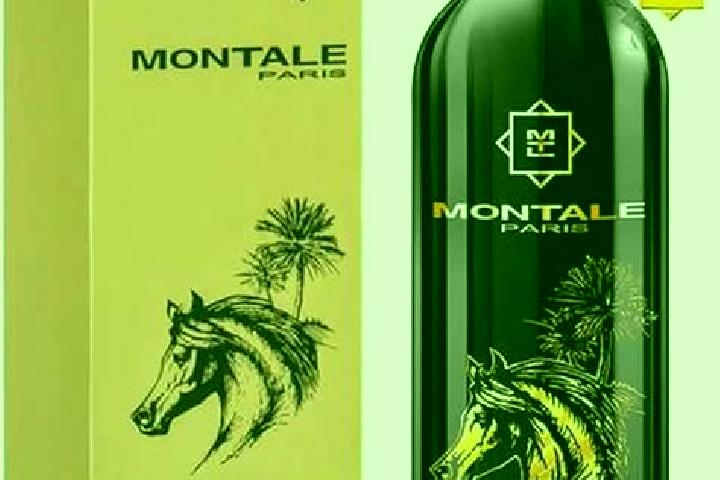 escort Montale