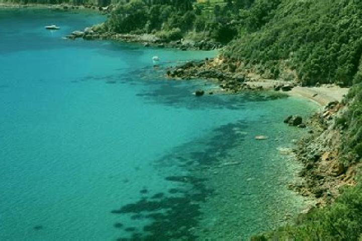 escort Monte Argentario