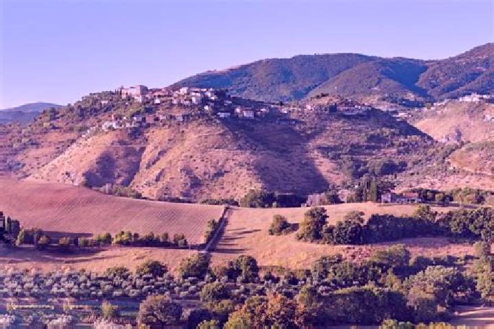 escort Monte San Giovanni in Sabina