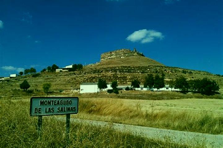 escort Monteagudo de las Salinas