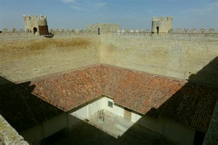escort Montealegre del Castillo