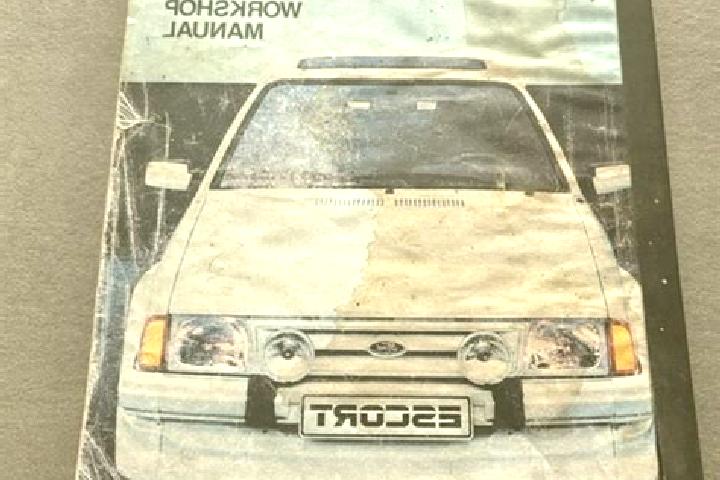 escort Montedecoro