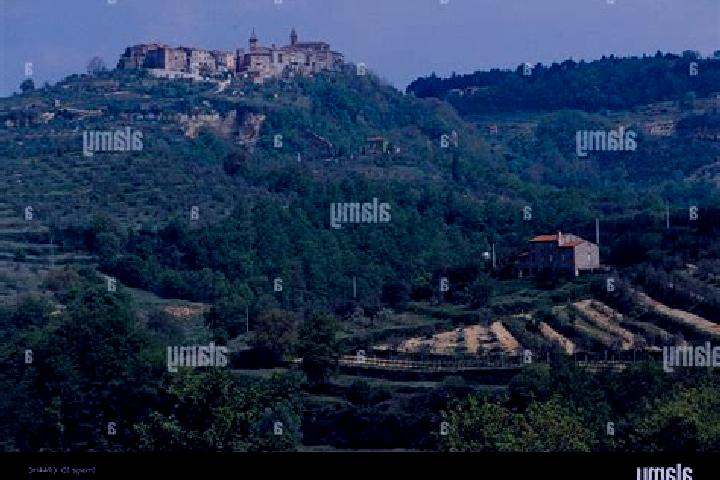 escort Monteleone d Orvieto