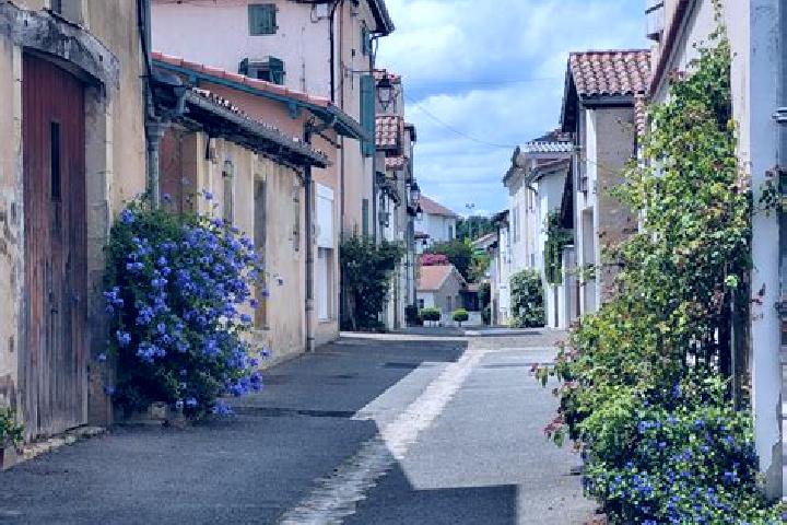 escort Montfort-en-Chalosse