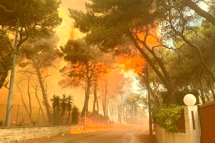 escort Monti d Arena-Bosco Caggione