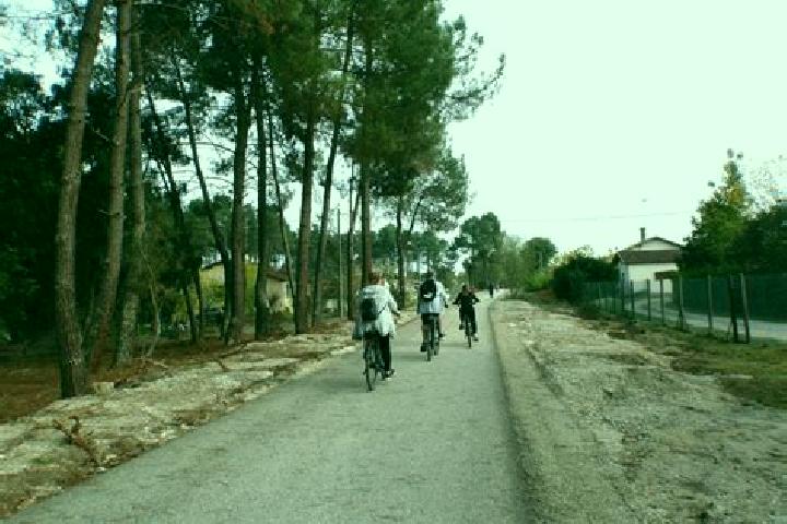 escort Montpouillan