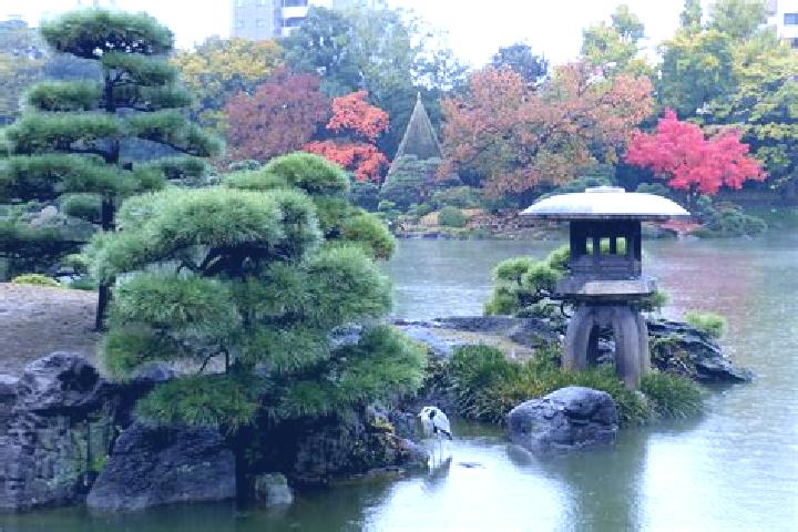 escort Monzen-nakacho
