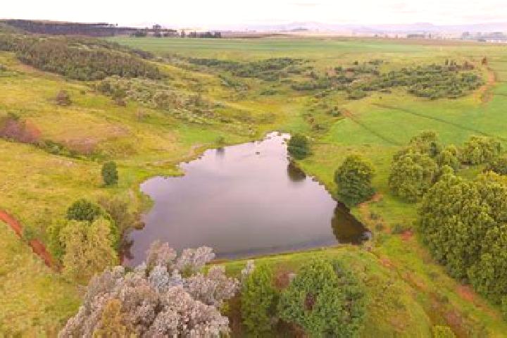 escort Mooi River