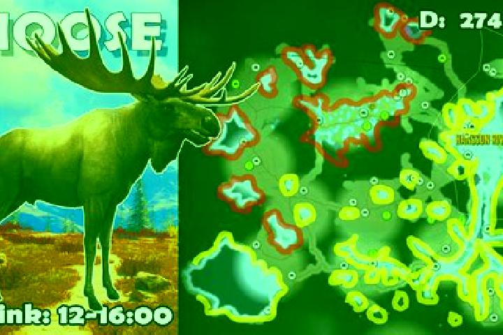 escort Moose Lake