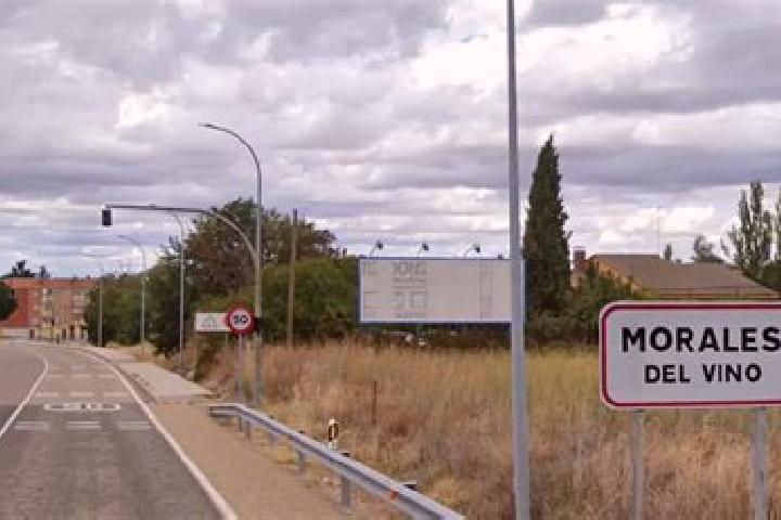 escort Morales del Vino
