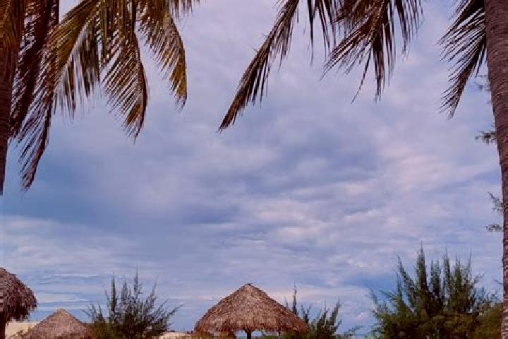 escort Morondava