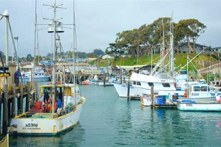 escort Morro Bay